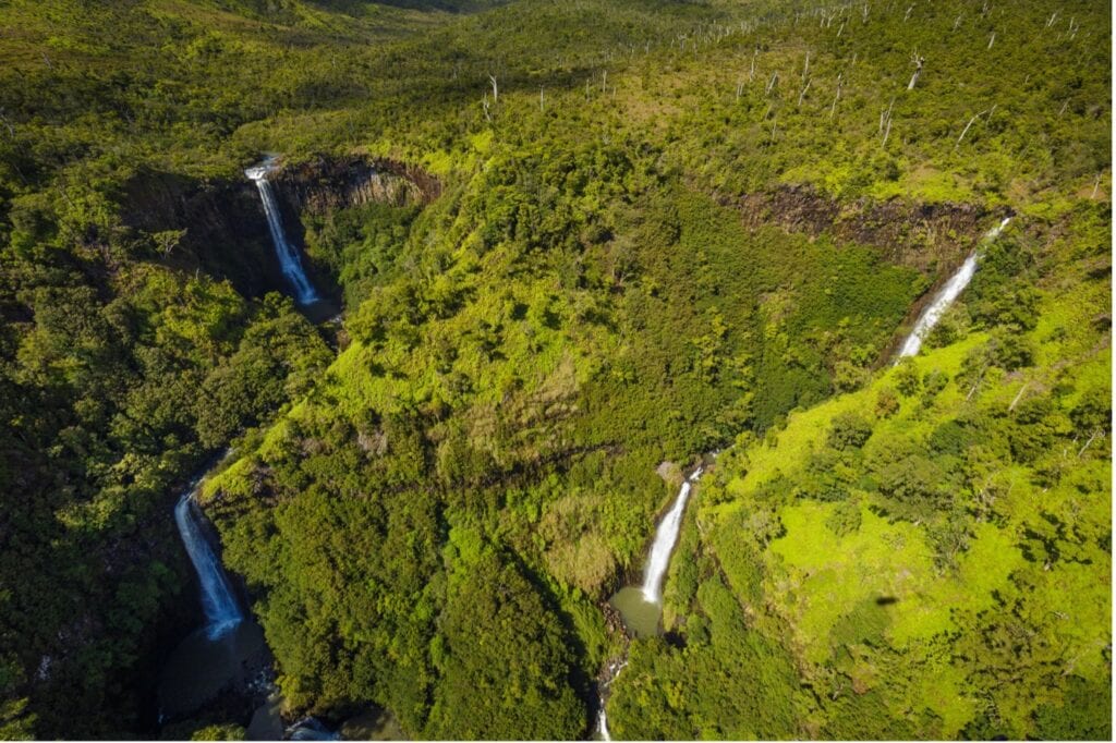 Kahili Falls – Five Sisters